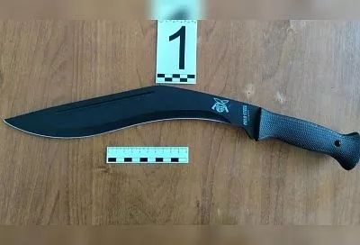 Житель Краснодара пытался пройти в здание вокзала с мачете и ножом в Забайкалье