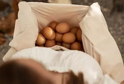 Эти куры не подведут: ТОП-3 лучших несушек для дома — сэкономят вам тысячи (до 300 яиц с каждой!)