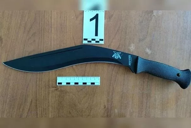 Житель Краснодара пытался пройти в здание вокзала с мачете и ножом в Забайкалье