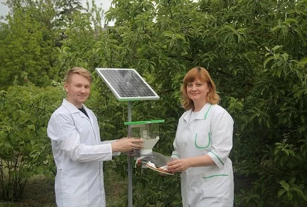 Цифровой дозор: как нейросети помогают защищать урожай   