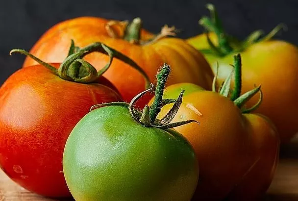 Осенняя подкормка томатов калием: собираем сладкий урожай до самых заморозков