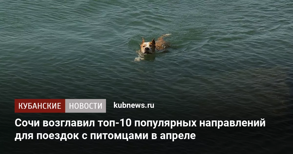 Сочи возглавил топ-10 популярных направлений для поездок с питомцами в апреле