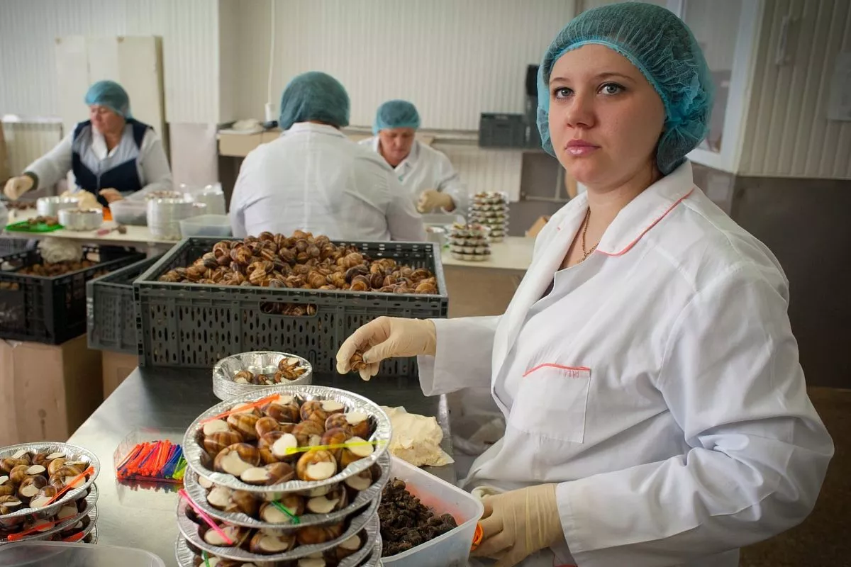 Виноградные улитки, приморско-ахтарск, деликатесы