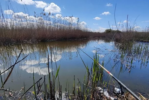 Выяснил, когда начинает клевать карась: 3 места весной, где он всегда ловится