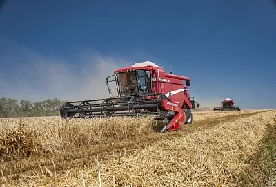 Кубанские аграрии в 2025 году застраховали более 1,1 млн гектаров посевов