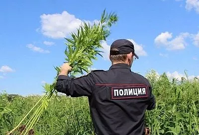 На Кубани стартует первый этап профилактической операции «Мак»