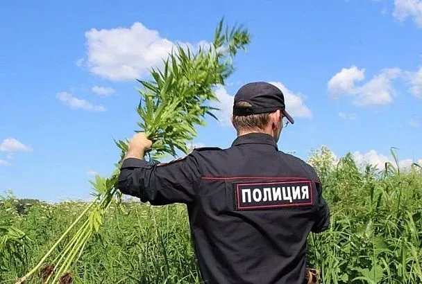 На Кубани стартует первый этап профилактической операции «Мак»