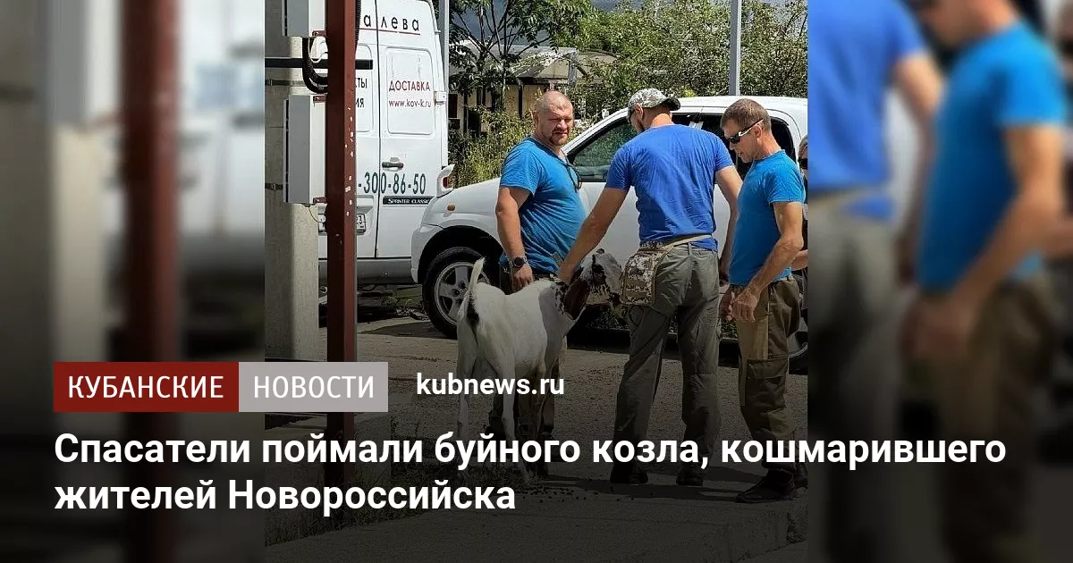 Спасатели поймали буйного козла, кошмарившего жителей Новороссийска