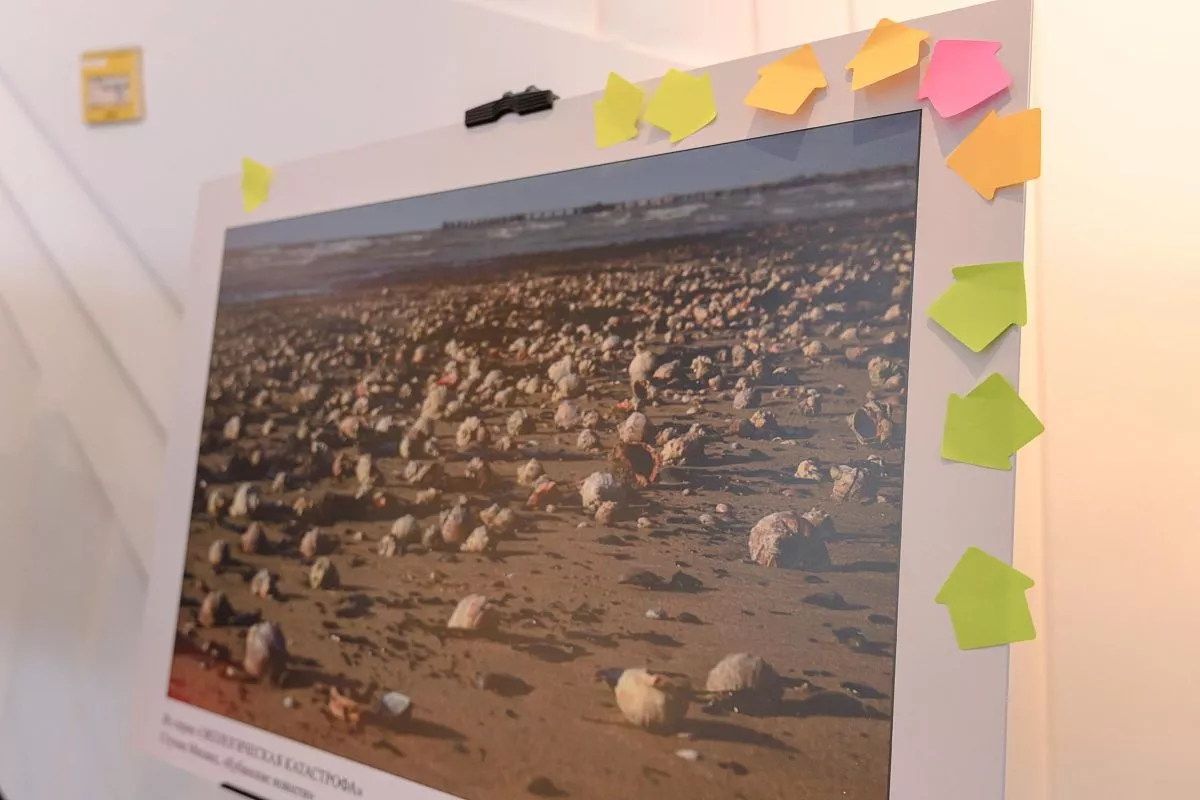 Лучшей жюри посчитало серию работ Михаила Ступина «Экологическая катастрофа». Снимки были сделаны в декабре 2024 года на анапских пляжах, где проходила ликвидация последствий разлива нефтепродуктов. 