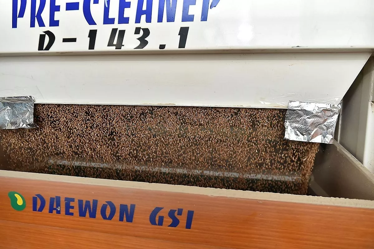 Краснодарский элеватор