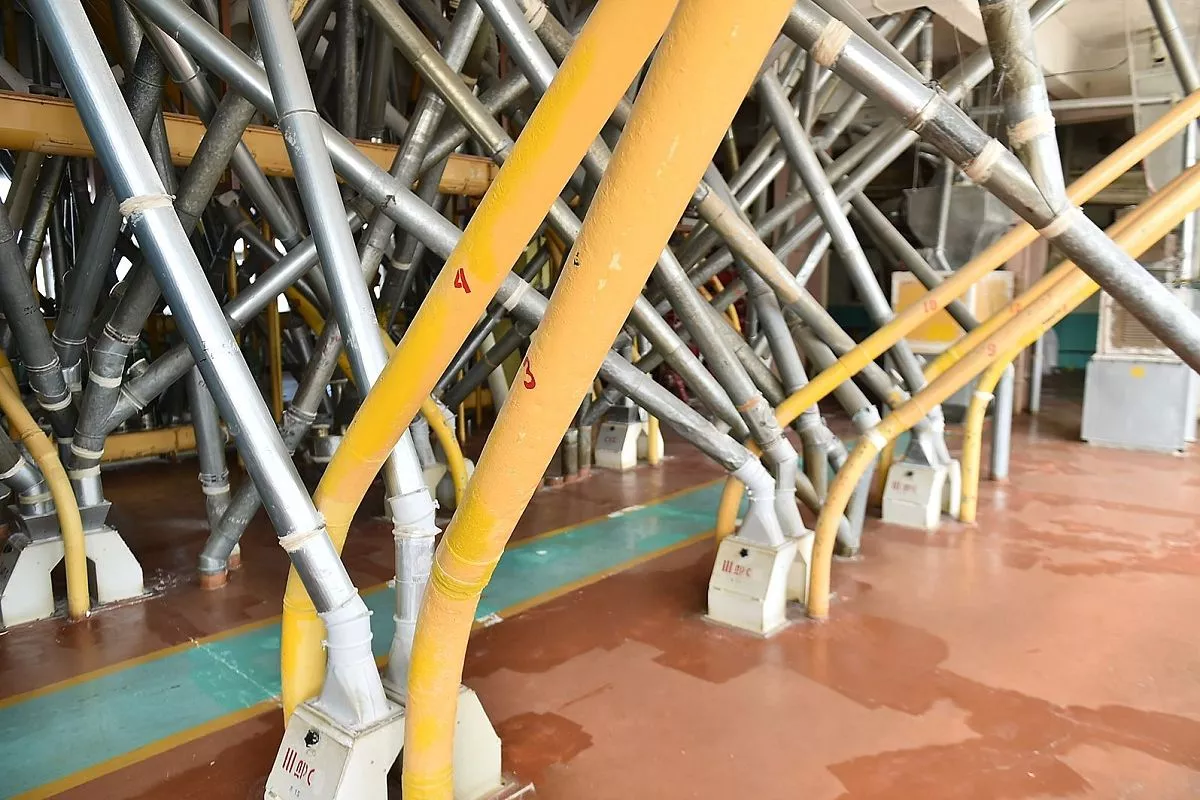 Краснодарский элеватор