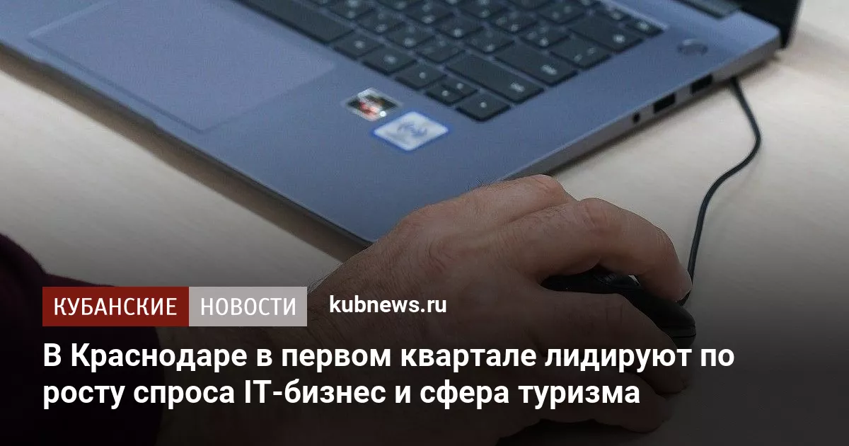 В Краснодаре в первом квартале лидируют по росту спроса IT-бизнес и сфера туризма