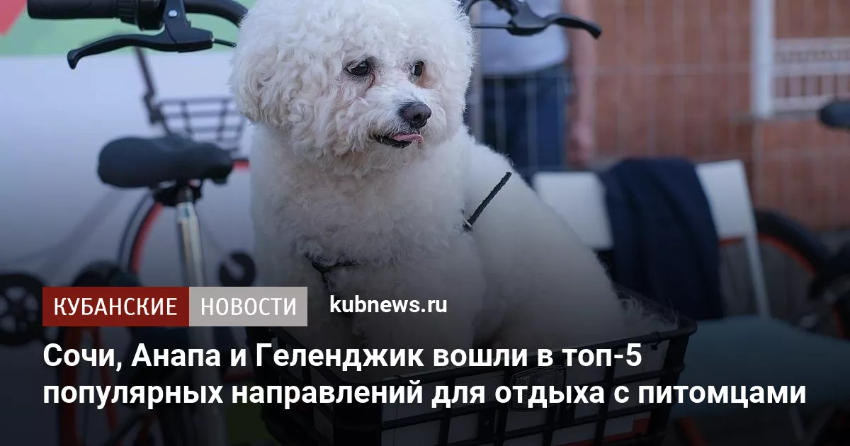 Сочи, Анапа и Геленджик вошли в топ-5 популярных направлений для отдыха с питомцами