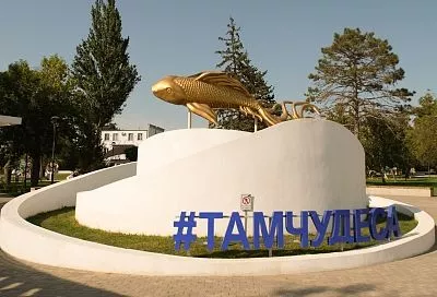 Искупаться в вулкане, погладить альпак и сделать фото в лотосах: чем заняться туристам в Темрюкском районе