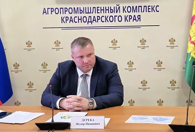 Аграрии северных районов Краснодарского края совместно с учеными оптимизируют структуру посевных площадей