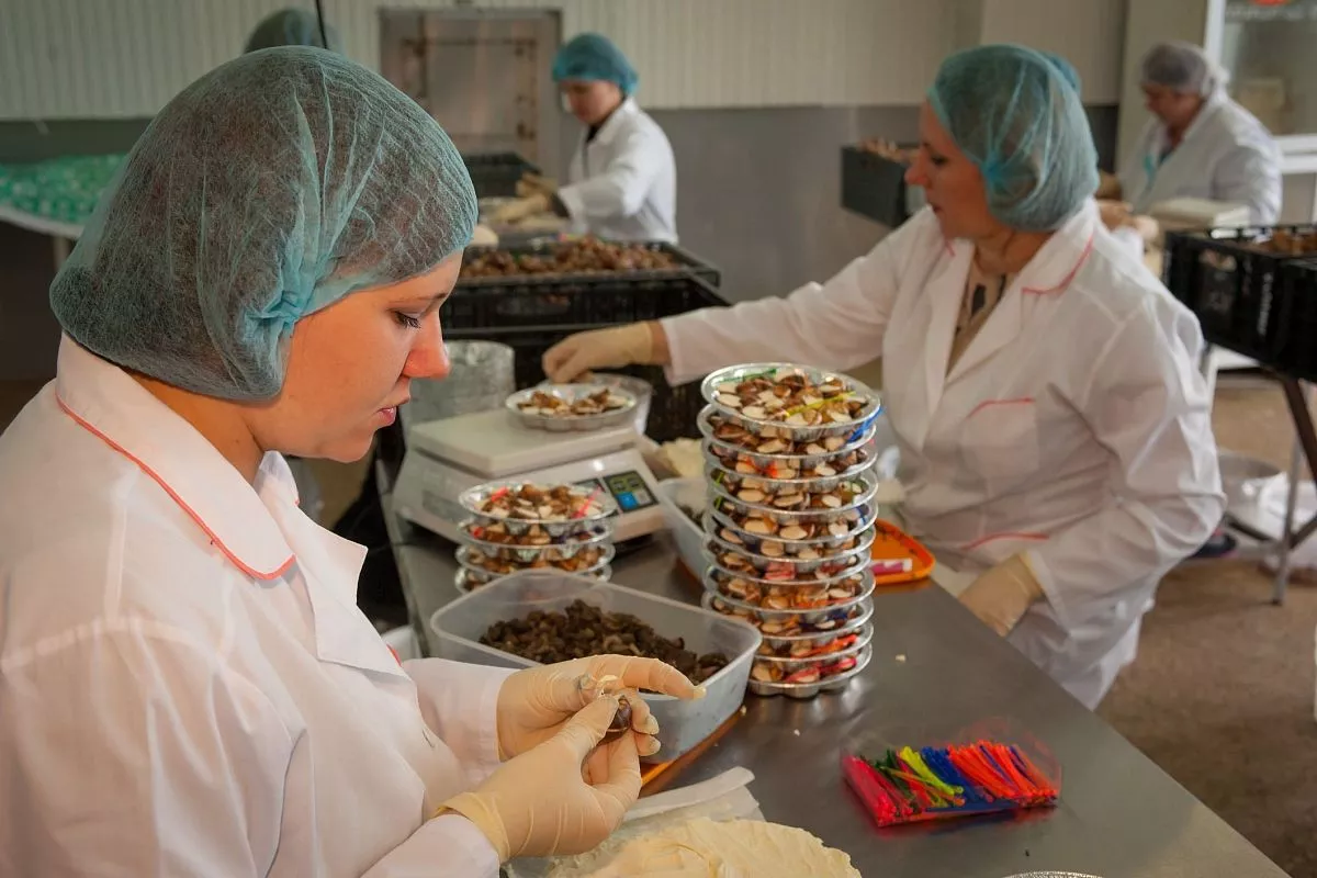 Виноградные улитки, приморско-ахтарск, деликатесы