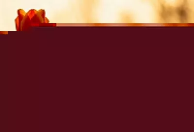 Три цветка определяют три четверти российского рынка, но покупатели всё чаще выбирают зелень