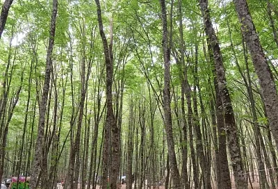 Новые подходы в контрольно-надзорной деятельности внедряют в Краснодарском крае 