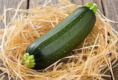 Храните кабачки до зимы на соломе: подстелите раз — и забудьте о гнили