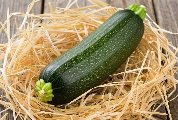 Храните кабачки до зимы на соломе: подстелите раз — и забудьте о гнили