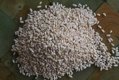 Крупа – мульча: сочетание декоративности и пользы для комнатных растений