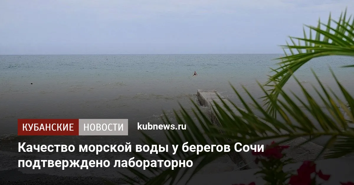 Качество морской воды у берегов Сочи подтверждено лабораторно