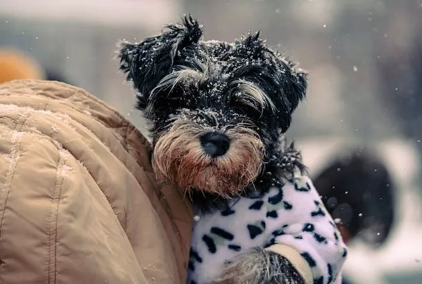 Синоптик Шувалов сообщил, когда в Краснодарский край вернется зима