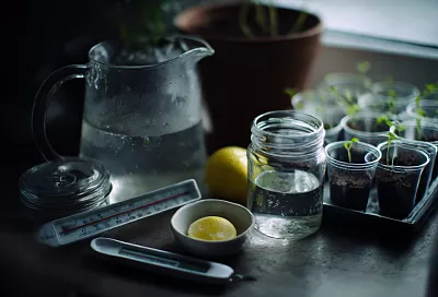 Как поливать рассаду без переливов: простой способ для новичков