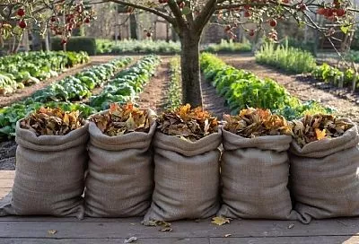 Быстрый компост в мешках: как получить качественное удобрение без лишних хлопот