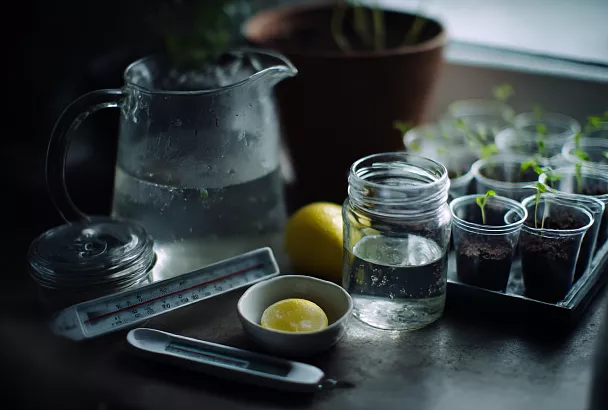 Как поливать рассаду без переливов: простой способ для новичков