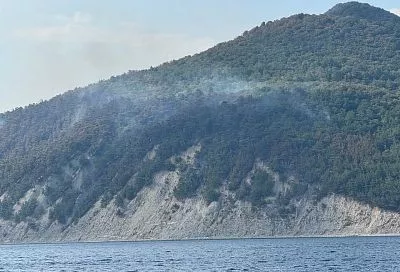 Площадь очагов возгорания на территории Геленджикского лесничества составляет 42,4 га
