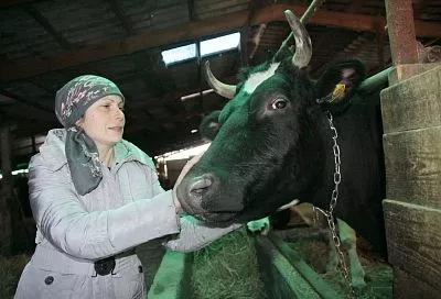 Когда хутор при деле: в экономике Кубани доля продукции малых форм хозяйствования выше, чем по стране