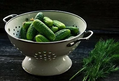 Накрыл семена огурцов этим и собрал ранний урожай, несмотря на заморозки: хватит всем, и еще останется