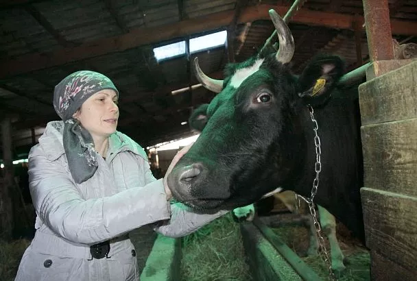 Когда хутор при деле: в экономике Кубани доля продукции малых форм хозяйствования выше, чем по стране