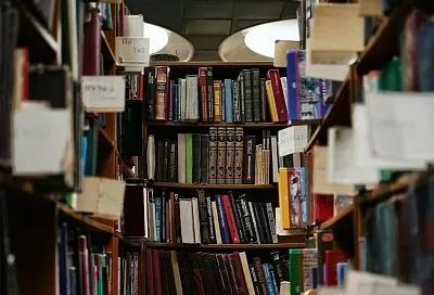 На Кубани 15 учреждений культуры внедряют лучшие практики повышения эффективности