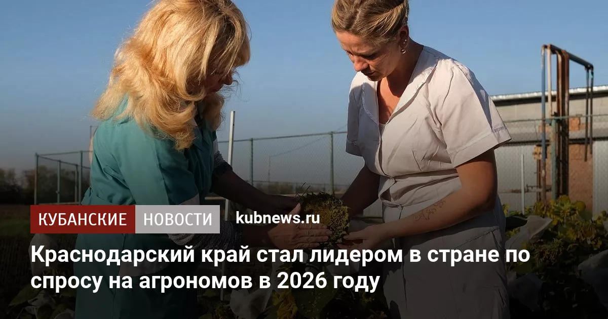 Краснодарский край стал лидером в стране по спросу на агрономов в 2026 году