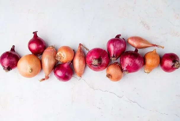 Растения, которые не любят навоз: личный опыт разочарованной огородницы