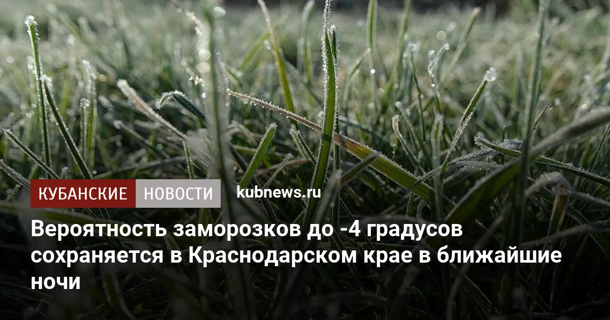 Вероятность заморозков до -4 градусов сохраняется в Краснодарском крае в ближайшие ночи