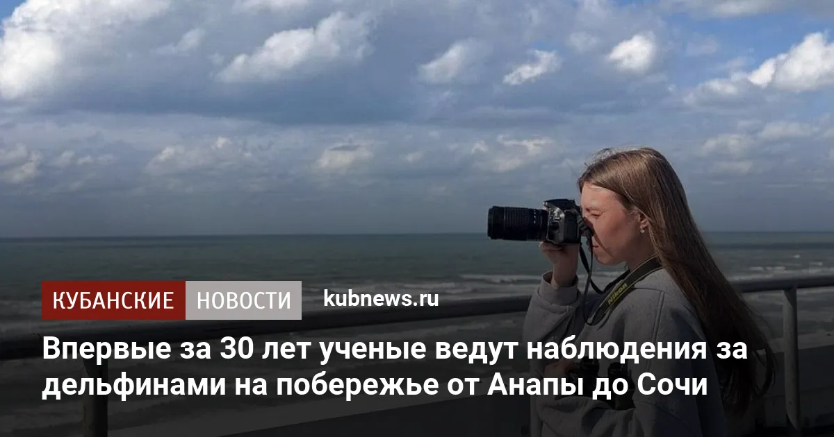 Впервые за 30 лет ученые ведут наблюдения за дельфинами на побережье от Анапы до Сочи