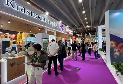 Центр поддержки экспорта Краснодарского края предоставил предпринимателям более 3,5 тысячи услуг