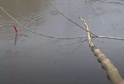 Сабанеев challenge: ловлю речного окуня на снасть XIX века – гениальная простота