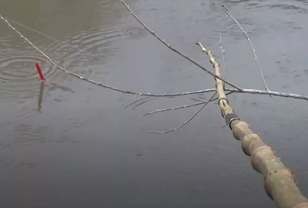 Сабанеев challenge: ловлю речного окуня на снасть XIX века – гениальная простота