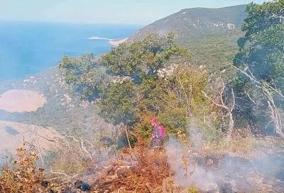 Площадь пожара в Утрише сократили до 1 га