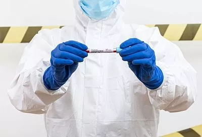 Учёные спрогнозировали новые очаги Эболы — точность модели 97%