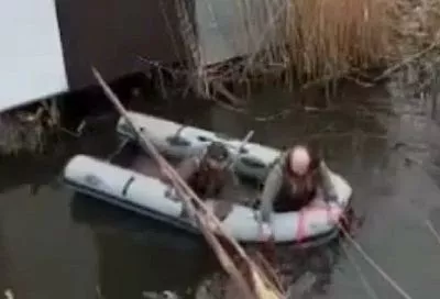 На Кубани спасли дельфина, запутавшегося в сетях