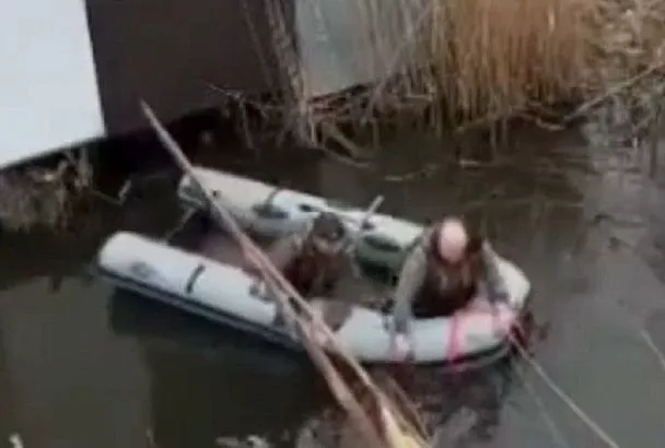 На Кубани спасли дельфина, запутавшегося в сетях