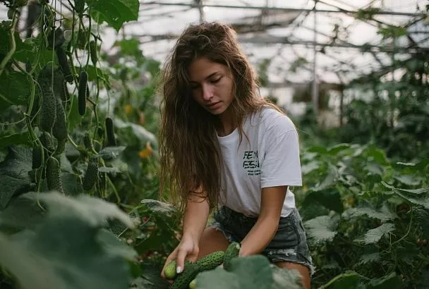 Схема без химии: как обрабатывать огурцы биопрепаратами от всходов до урожая