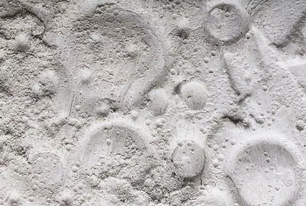 Костная мука идеальна для зимы: вношу ее раз в год – и почва успевает отдохнуть