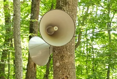 В Краснодаре 25 ноября завоют сирены