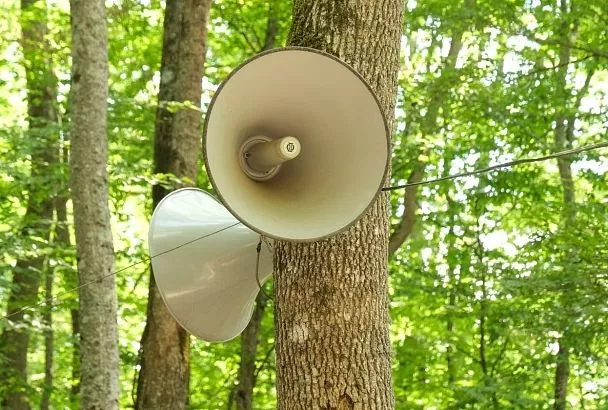 В Краснодаре 25 ноября завоют сирены